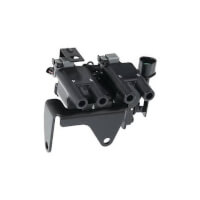  כוהל לקיה פיקנטו