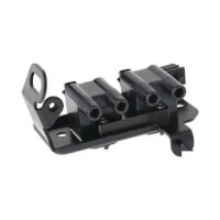  כוהל לקיה ריו