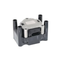  כוהל לפולקסווגן בורה